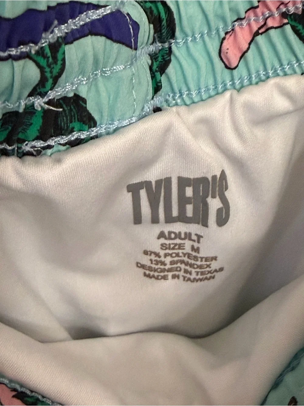 Tyrrell Katz Light Blue Dino & Taco Swim Trunks